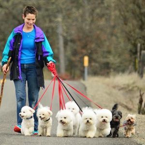 Meet your Posher, Joanne